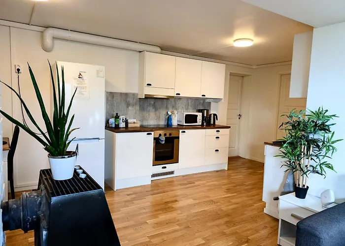 Aurora Rooms In Shared Apartment Nr2 We Are Doing Privet Northen Lights Trips, Reindeer Trip And Fjord Sommaroy Trip