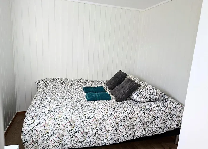 Aurora Rooms In Shared Apartment Nr2 We Are Doing Privet Northen Lights Trips, Reindeer Trip And Fjord Sommaroy Trip