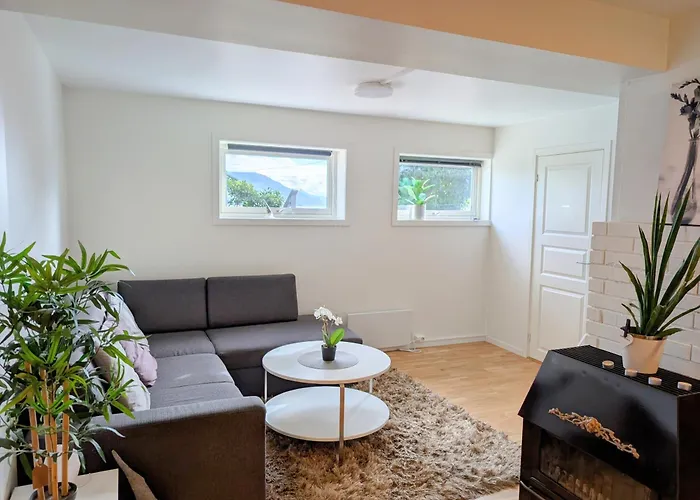 Aurora Rooms In Shared Hause Nr3 We Are Doing Northen Lights Trip, Reaindear Trip And Sommaroy Fjord Trips